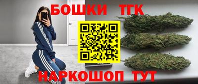 индика Гусиноозёрск