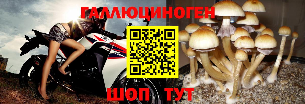 Галлюциногенные грибы Magic Shrooms Жигулёвск